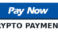 pay-now-buttoncrypto